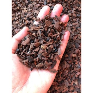 Giá thể vỏ thông trồng lan (1kg)