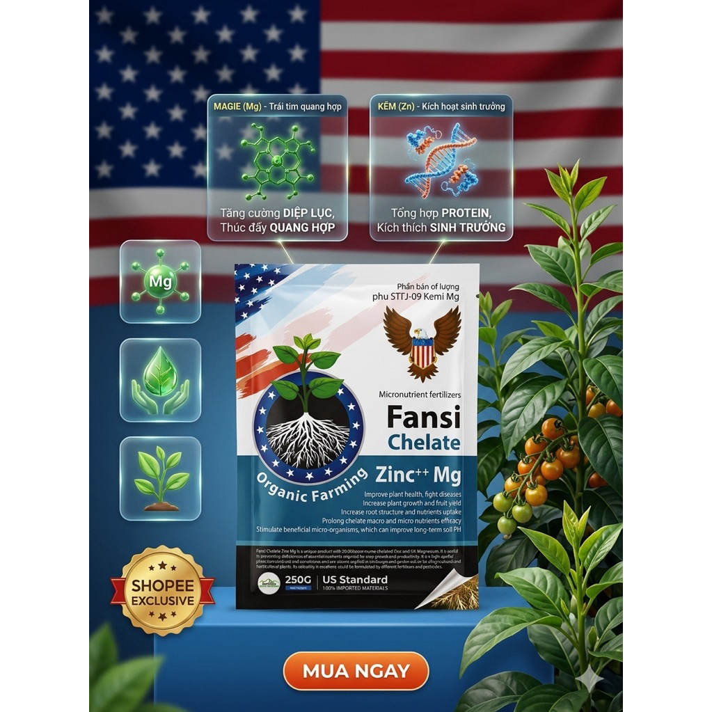 Magie Kẽm USA
