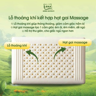 RUỘT GỐI ÔM - GỐI NẰM CAO SU ÊM ÁI THOÁNG KHÍ HÀNG VIỆT NAM