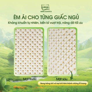 RUỘT GỐI ÔM - GỐI NẰM CAO SU ÊM ÁI THOÁNG KHÍ HÀNG VIỆT NAM