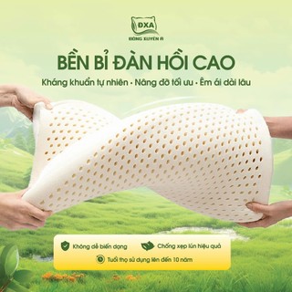 RUỘT GỐI ÔM - GỐI NẰM CAO SU ÊM ÁI THOÁNG KHÍ HÀNG VIỆT NAM