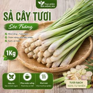 Sả Cây Tươi Sóc Trăng 1Kg |- Sả Củ Tươi Nhà Trồng Loại 1 Nấu Ăn, Pha Nước Uống, Khử Mùi Thực Phẩm