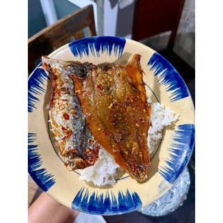 CÁ KHÔ THU ẢO