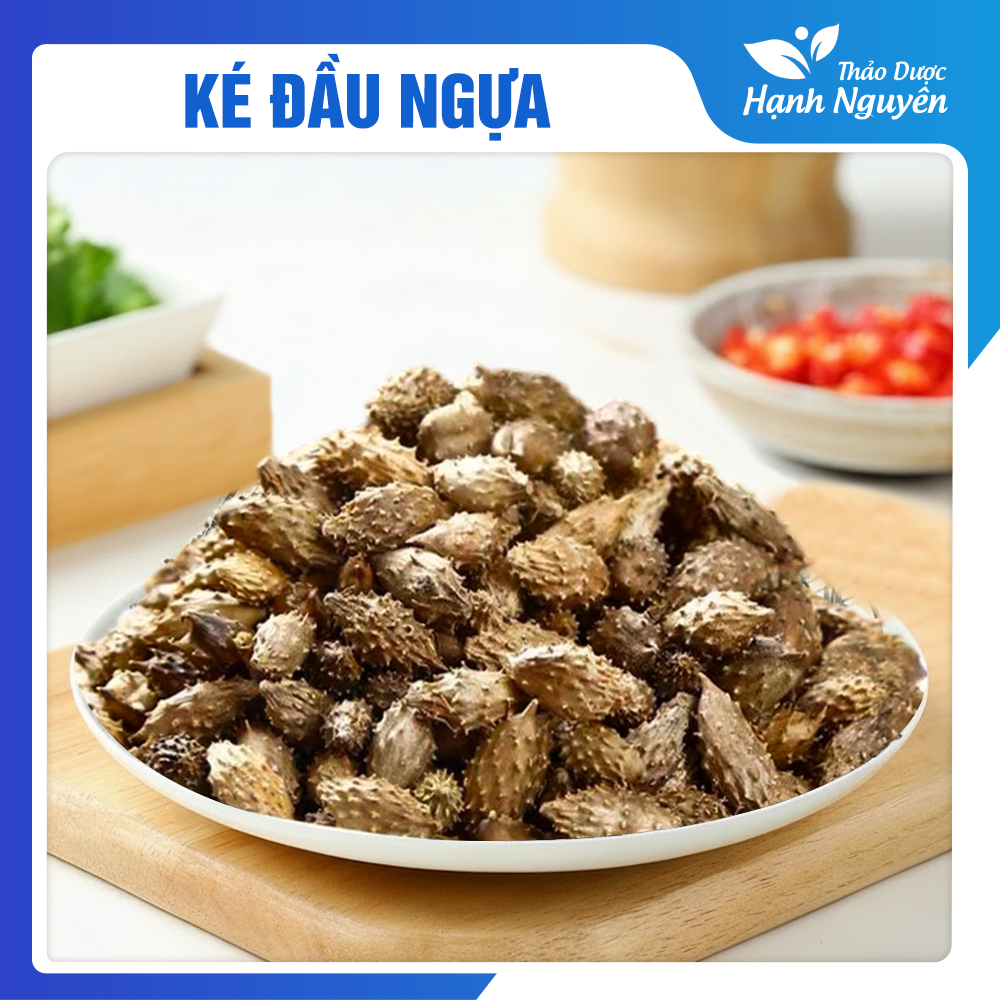 Ké Đầu Ngựa 500g (Thương Nhĩ Tử)
