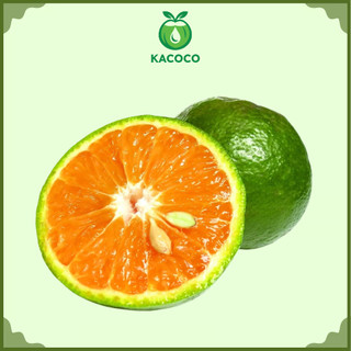 1kg Cam Sành miền tây Ngọt, mọng nước Kacoco - Vắt nước ép hoặc ăn trực tiếp đều ngon