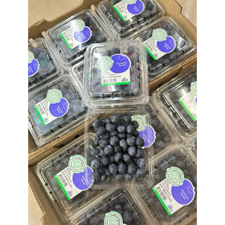 Việt quất 125g về hàng