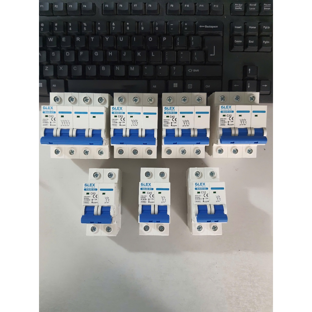 Aptomat MCB 2P AC 220V GILEX  NXB 1P 2P MCB chống quá tải át 220v