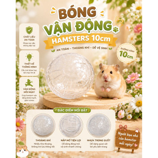 Bóng nhựa chạy  cho hamster