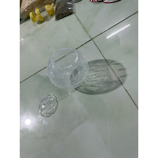 Bóng nhựa chạy  cho hamster