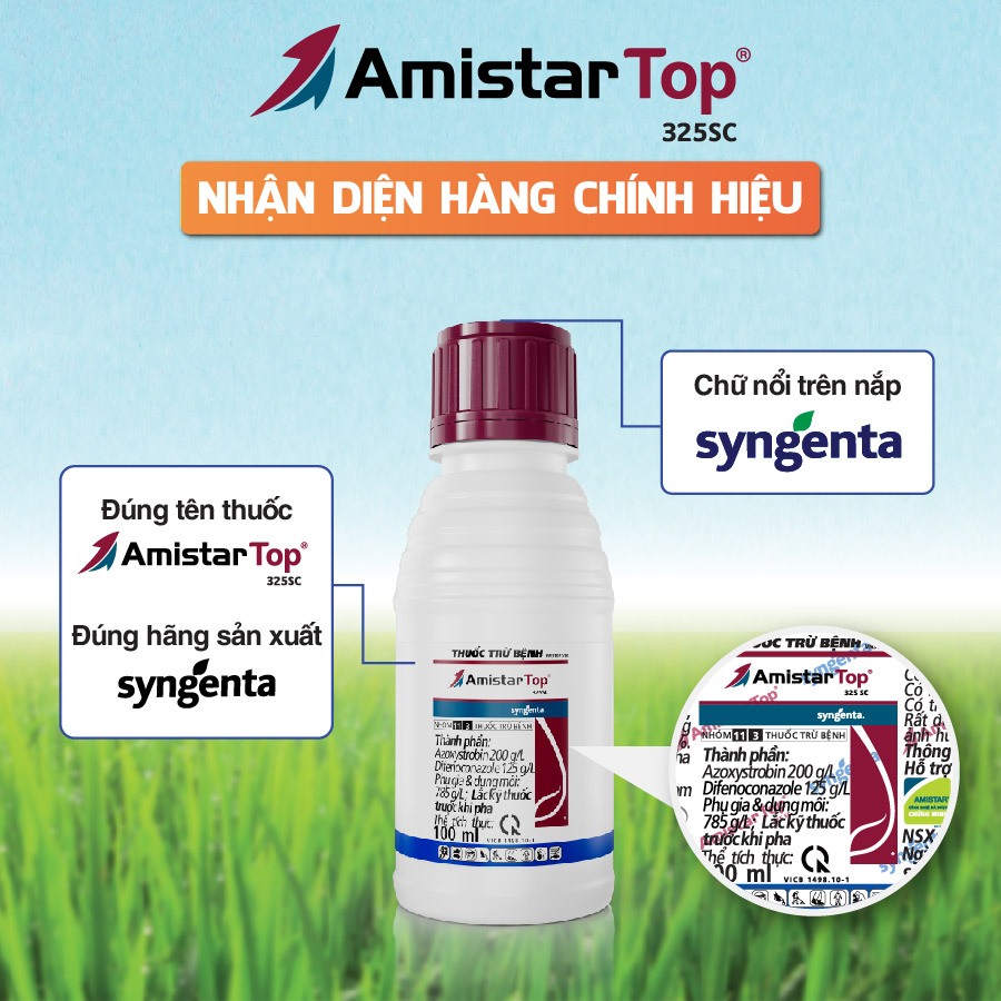 Amistar Top 325SC Công ty Syngenta