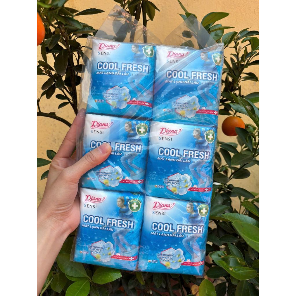 Lốc 6 gói (48 miếng) băng vệ sinh Dianna sensi cool fresh 23cm loại có cánh