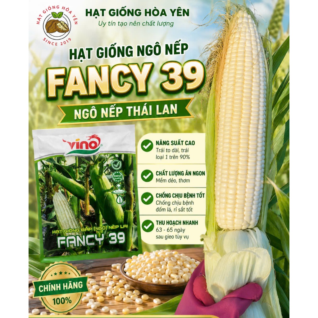 2 kg Hạt giống bắp nếp Thái Lan Fancy 39 trái to năng suất cao