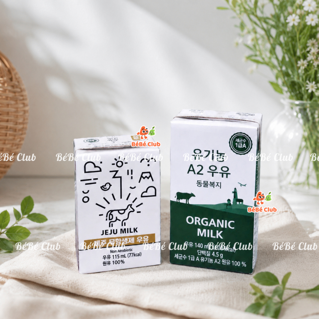 DATE MỚI 2027  [THÙNG 24 x115ml] Sữa Tươi Jeju Milk A2 Hữu Cơ /Jeju Không Kháng Sinh nhập khẩu Hàn Q