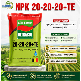 NPK 20-20-20 +TE [gói 1kg] -To trái, Nặng ký, Dày cơm - xanh lá, xanh cành- tăng năng suất