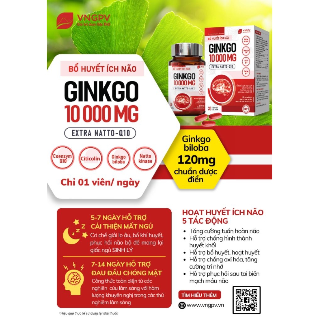 Viên uống Ginkgo 10 000mg extra natto- q10 hộp 30 viên