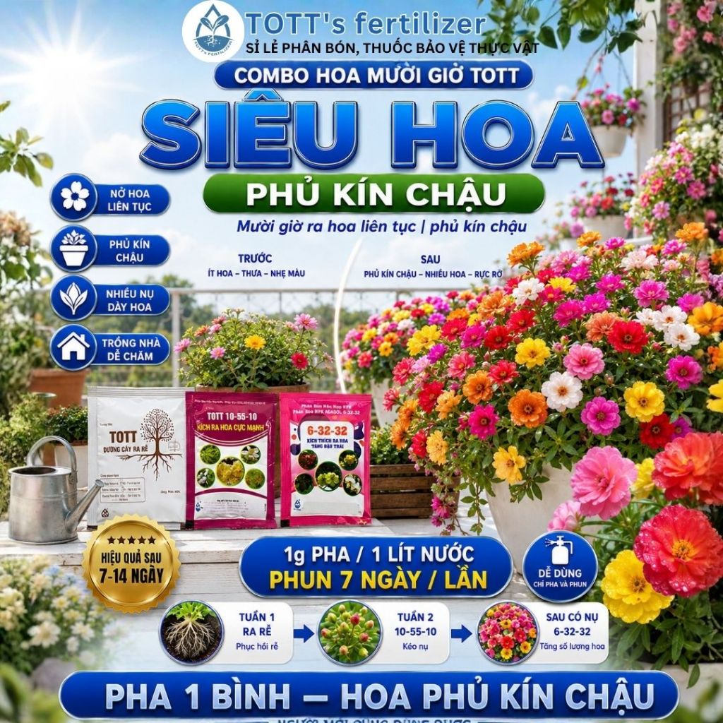 Phân bón hoa mười giờ, Combo Hoa Mười Giờ Siêu Hoa, Phủ Kín Chậu, TOTT Dưỡng cây ra rễ 10g + 10-55-1