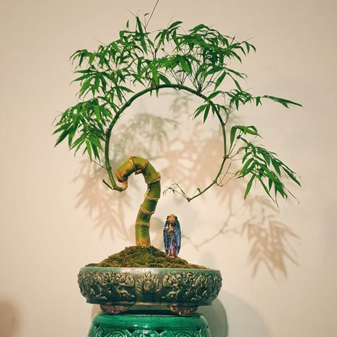 Phôi tre bonsai nghệ thuật tuyển chọn trang trí bàn trà (Phôi nhộng lớn)