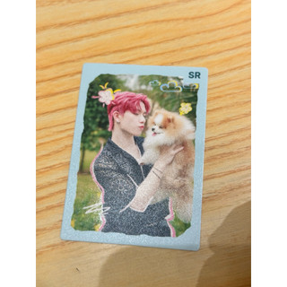 Card Gõ Cửa Nhà Mỹ Nam Tân Binh Toàn Năng SR, SSR, UR, SP V2 Y Concert