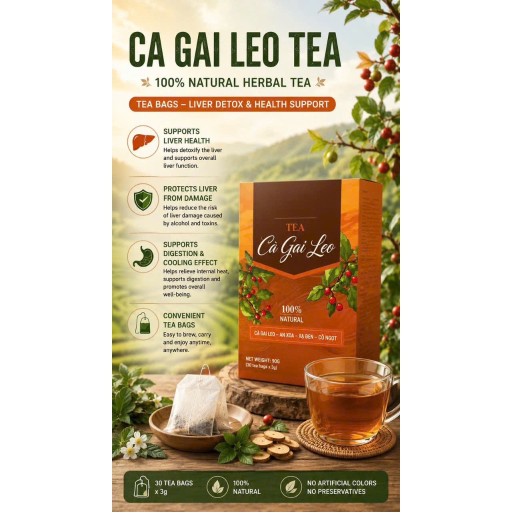 Premium Vietnamese Herbal Tea 30 Sachets | Ca Gai Leo Liver Support Tea | Natural Wellness Drink