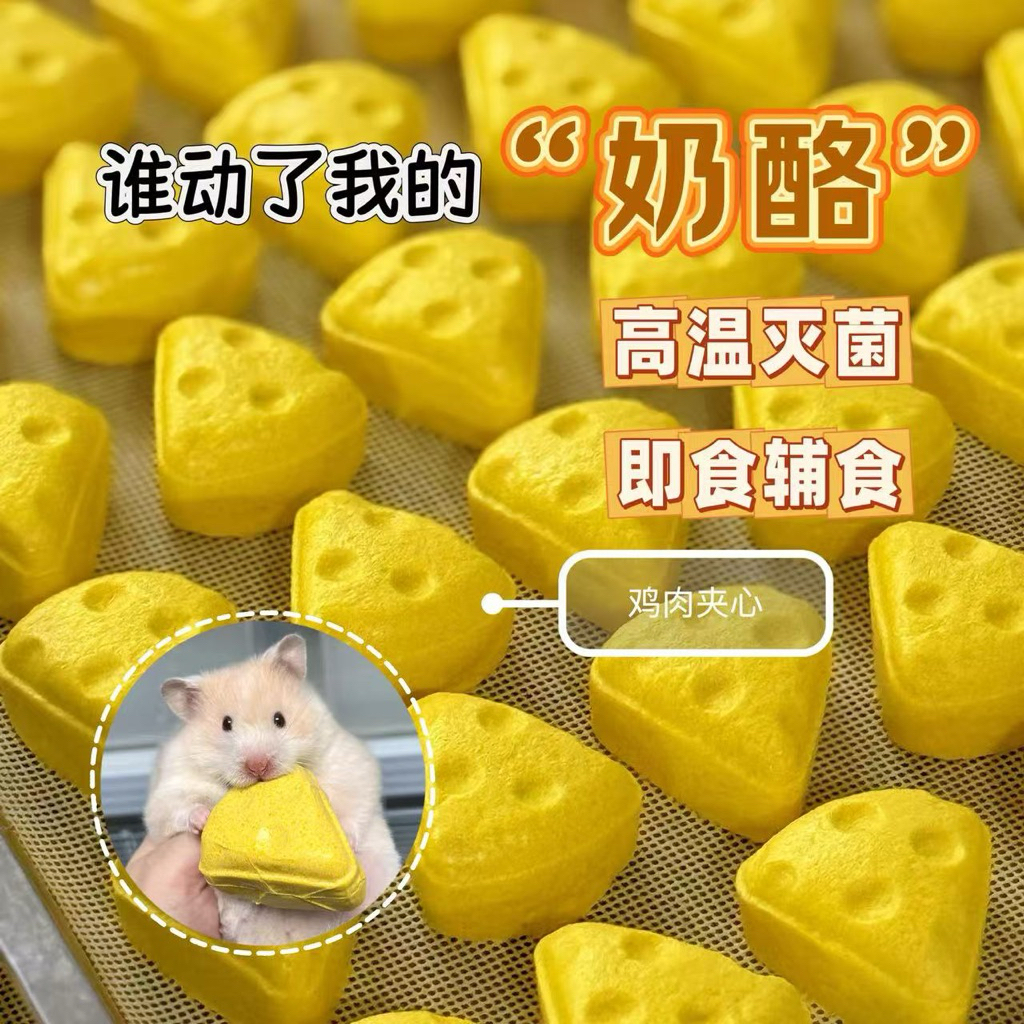 Miếng phô mai khổng lồ vỗ béo cho hamster của nhà DK Jessi
