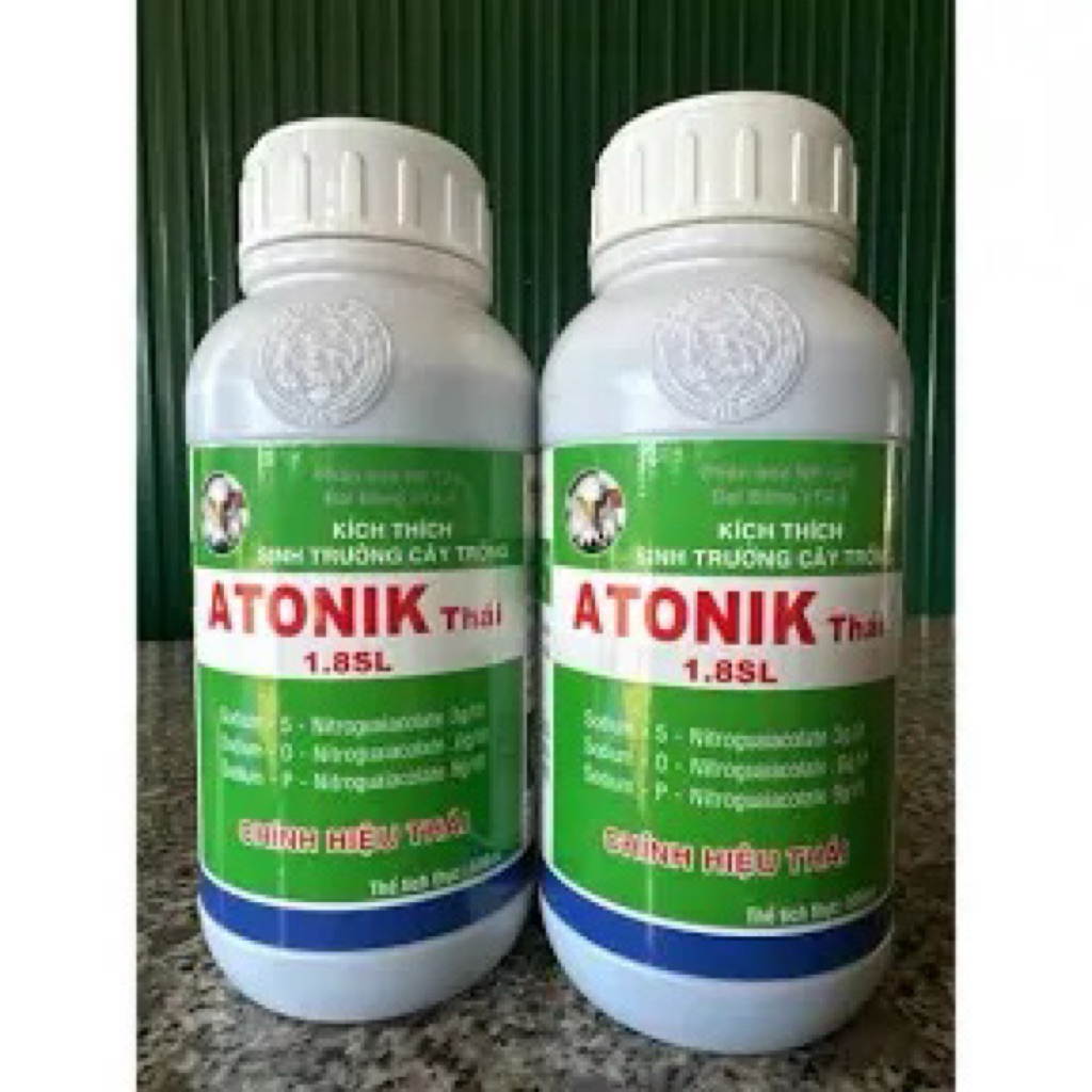 Atonic Nhật bản