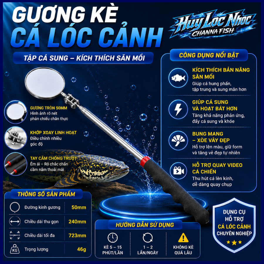 Gương Kè Cá Lóc Cảnh - Kích Thích Sung Mãn, Tăng Bản Năng Săn Mồi, Hỗ Trợ Tập Cá Hiệu Quả
