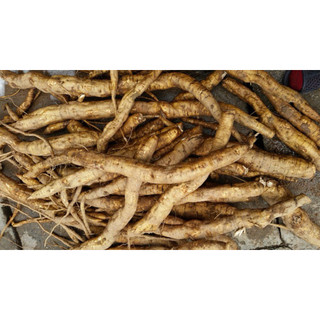 500gr bột sắn dây nguyên chất 100%