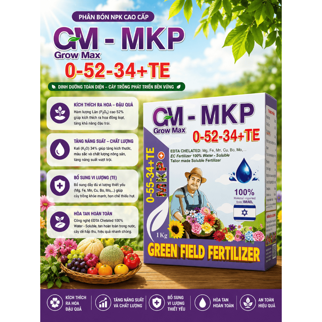 DTP MKP (MonoKali phosphate) (GM-MKP)