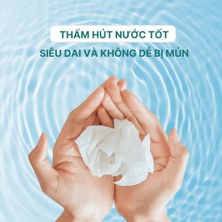 Giấy rút chính hãng Caitong 5 lớp 520 tờ xanh nhạt siêu dai, mềm mịn [CHUẨN NỘI ĐỊA TRUNG]