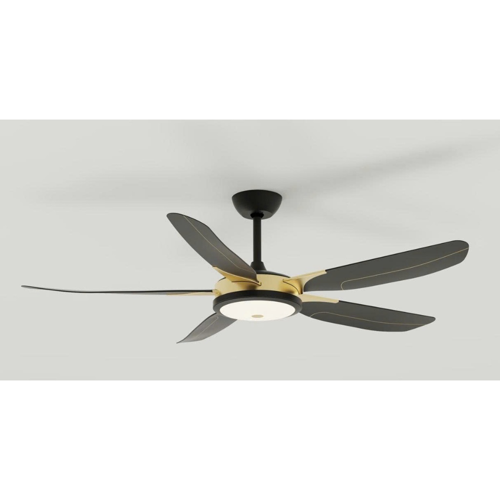 Quạt Trần Cánh Nhựa ABS 60inch SW 6058