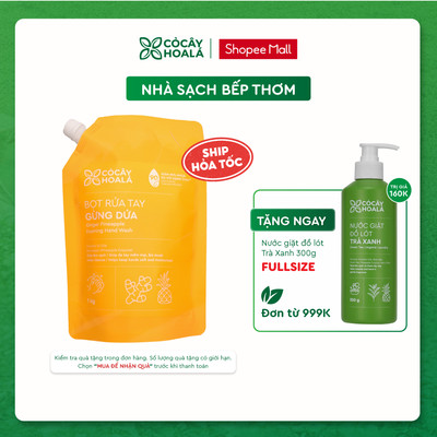 Túi Refill Bọt Rửa Tay Thiên Nhiên Gừng Dứa Cỏ Cây Hoa Lá 1kg