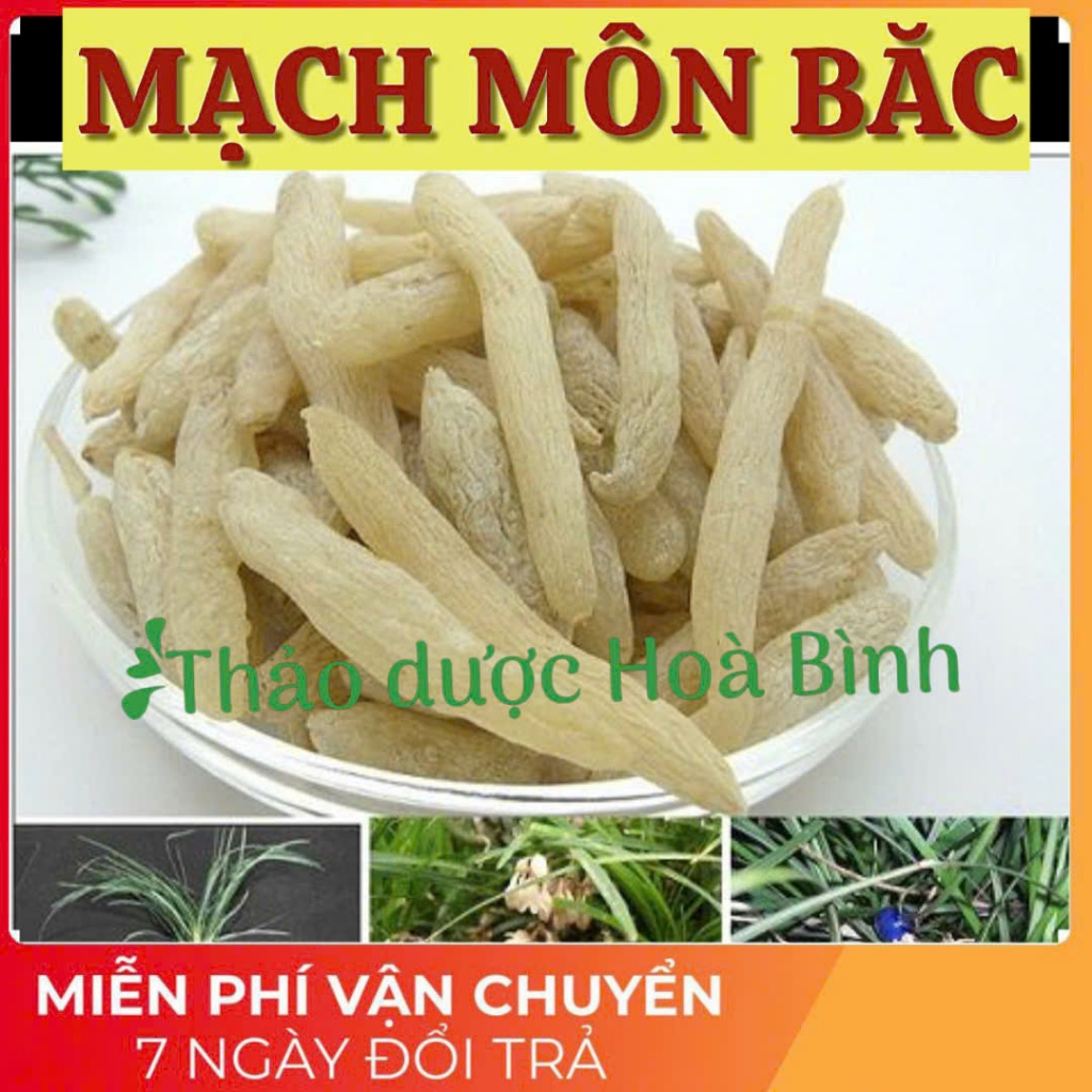Mạch môn bắc ( mạch môn, mạch môn đông ), nguyên chất, không pha trộn, mới, sạch