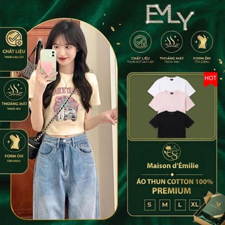 Áo Thun Croptop Nữ Basic Y2K Streetwear  - Chất Cotton 100% Mịn Đẹp - Form Lửng Cổ Tròn Cực Xinh - Hàng Hot Trend