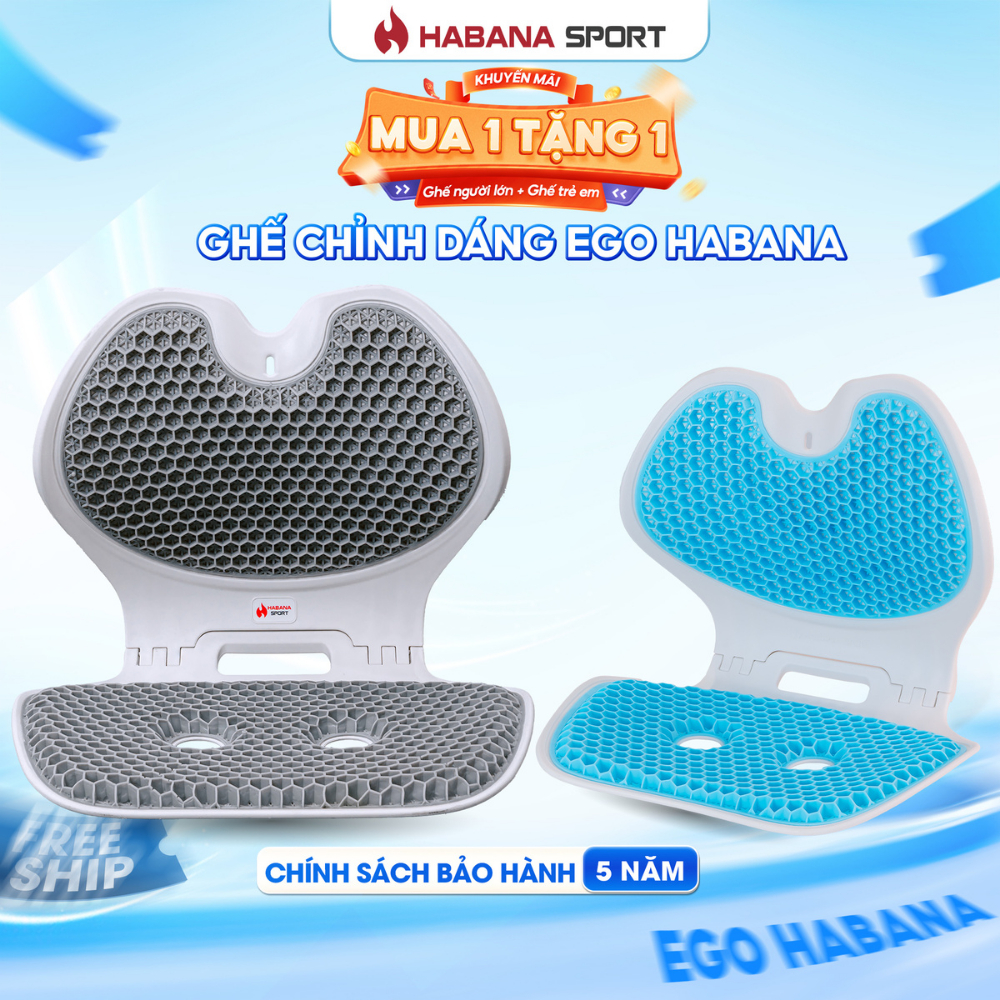 [HABANA SPORT CHÍNH HÃNG] Ghế Chỉnh Dáng EGO Công Thái Học Gấp Gọn, Hỗ Trợ Xương Sống, Giảm Đau Mỏi.