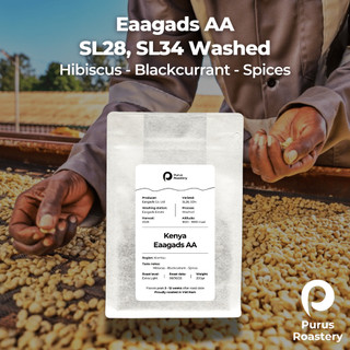 Cà phê đặc sản Kenya Eaagads AA | Giống SL28, SL34 sơ chế Washed | Extra Light Roast