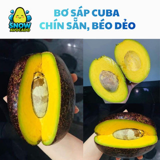 [ Giao hỏa tốc tại HCM ] Bơ 034, bơ sáp CUBA DAKLAK chín sẵn béo dẻo ngon