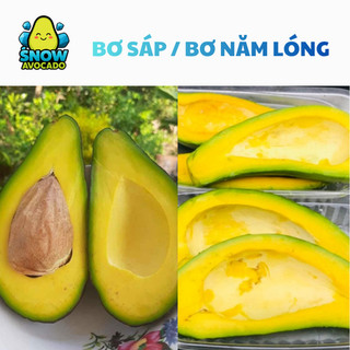 [HỎA TỐC HCM] Bơ Sáp CHÍN - Không Tên/ Năm Lóng tươi dẻo ngon không xơ - Snow Avocado