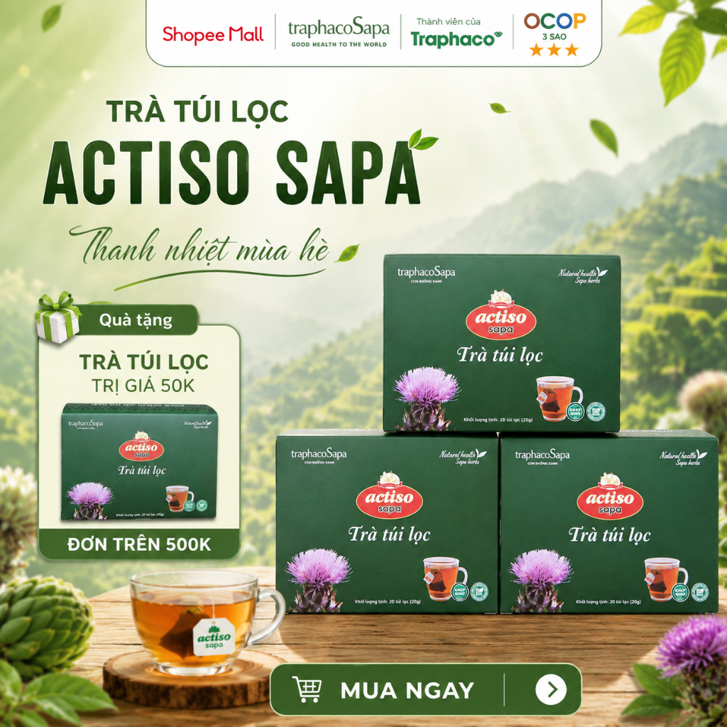 Trà Túi Lọc Actiso Sapa Chính Hãng TraphacoSapa | Thanh Nhiệt Mát Gan | 20 Túi Lọc | OCOP 3 Sao