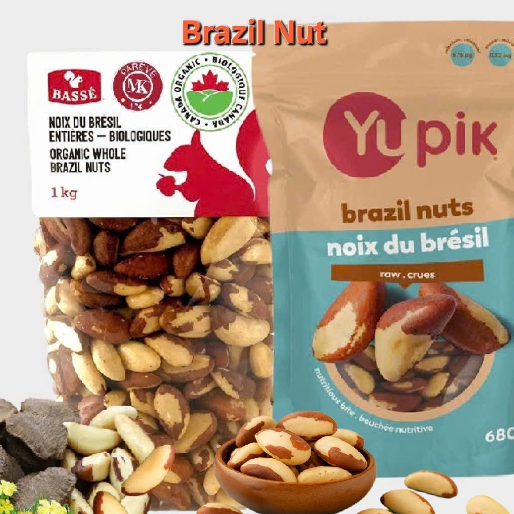 Brazil Nut Cao Cấp 680gr - 1kg 🌱 Premium Brazil Nut rich Selenium - Hạt Giàu chất béo cực kỳ tốt cho