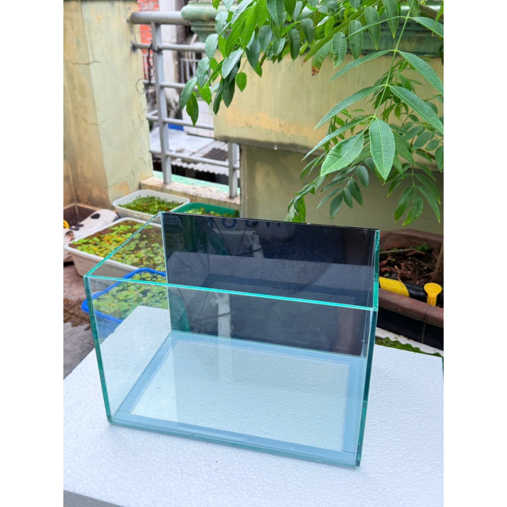 ( toàn quốc) Bể cá 30x20x20 kính 4li - dán giấu keo, mài cạnh siêu đẹp.- bảo hành vỡ do vận chuyển