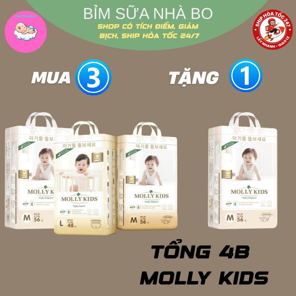 COMBO 4B MOLLY KIDS( Mua 3 TẶNG 1) MOLLY KIDS Công Nghệ Hàn Quốc Dán/Quần Đủ Size S62>>4XL38