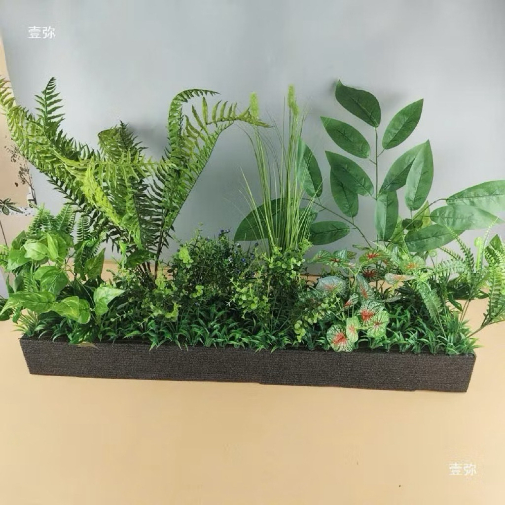 Dương xỉ cụm- HOA GIẢ,HOA LỤA
