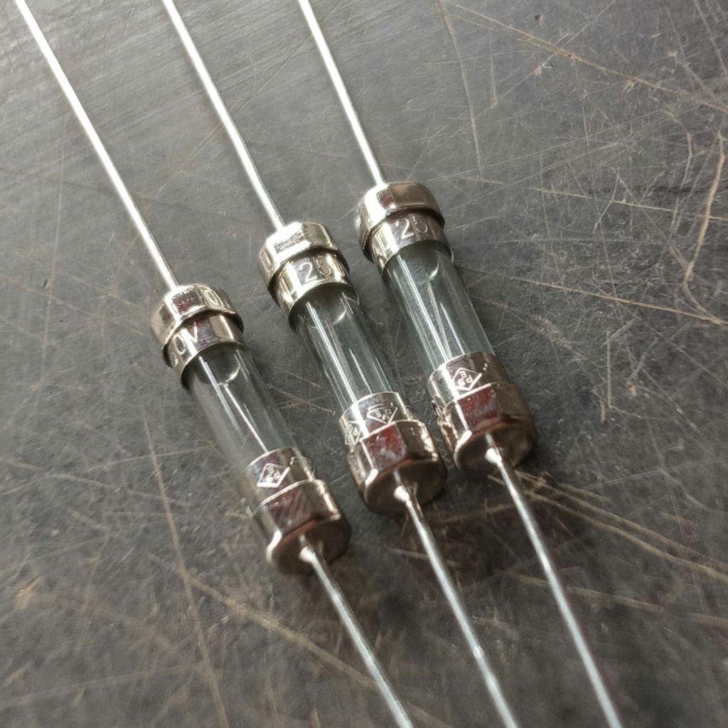 10 cái cầu chì 10A/250v
