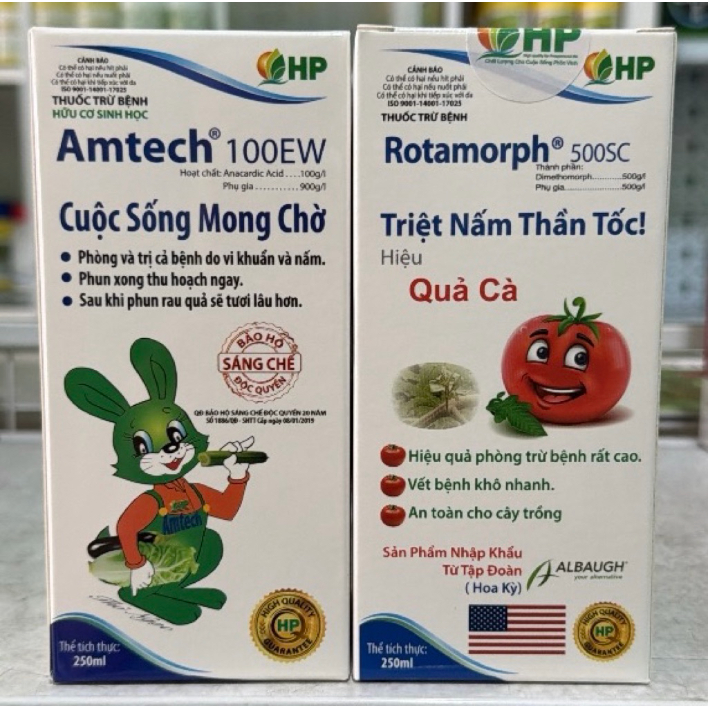 Cặp Rotamorph- Amtech