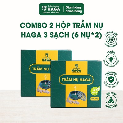 2 hộp 6 Nụ trầm hương tự nhiên HAGA 3 sạch, xông nhà,đốt bàn thờ,thu hút tài lộc, khói ngược,6 nụ *2