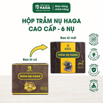 Hộp 6 Nụ trầm hương tự nhiên HAGA CAO CẤP, đốt bàn thờ, xông nhà tẩy uế, thu hút tài lộc, khói ngược