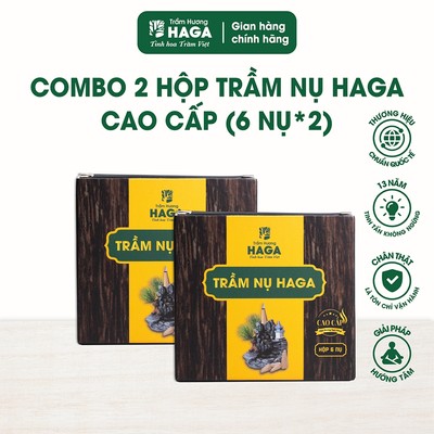 Combo 2 hộp 6 Nụ trầm hương HAGA cao cấp nguyên chất, đốt bàn thờ thu hút tài lộc,xông nhà (12 nụ)