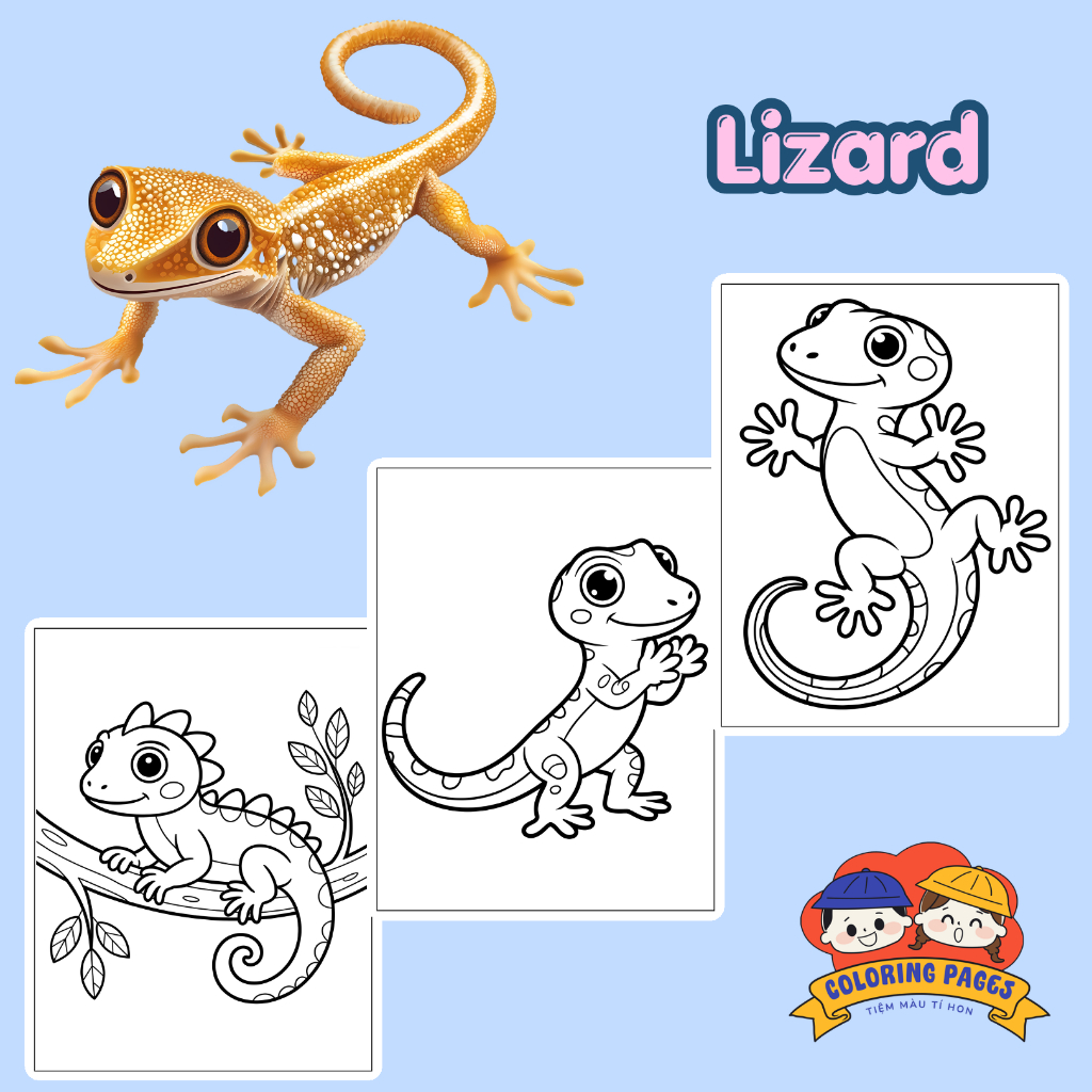 Combo 50/25 tờ tranh tô màu, tranh tập tô cho bé hình con thằn lằn Lizard giấy A4, A5 T0520LZ