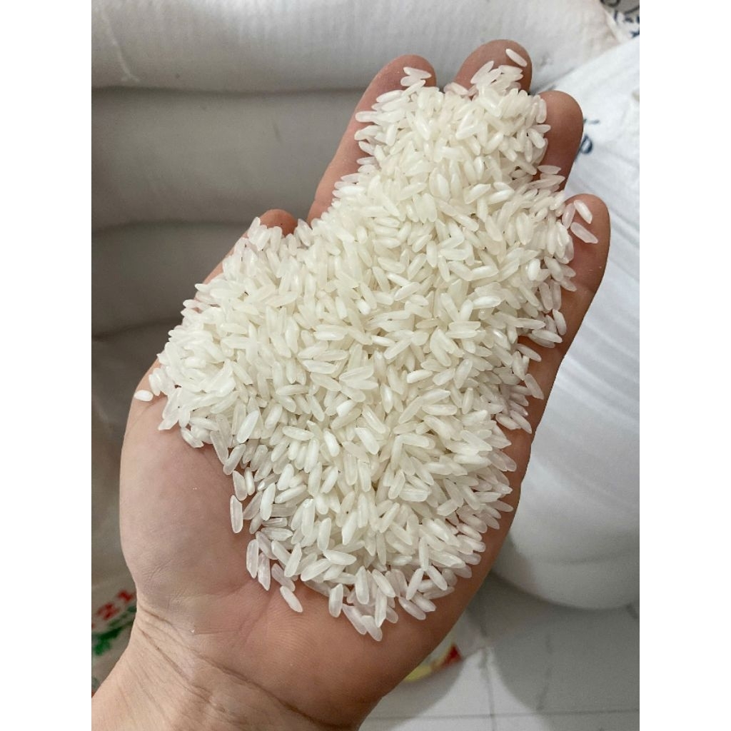 10KG GẠO 504 - NỞ KHÔ CƠM