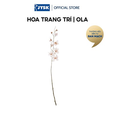 Hoa trang trí | JYSK OLA | nhựa PE/polyester | trắng | C80cm